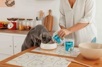 Caldo de pescado nórdico Petbel para gatos, rico en omega-3 y colágeno natural.