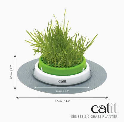 Senses Grass Planter