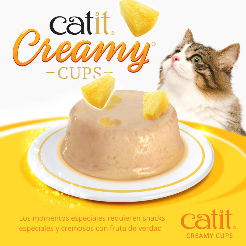 Mousse cremosa Catit Creamy Cups de pollo con piña para gatos