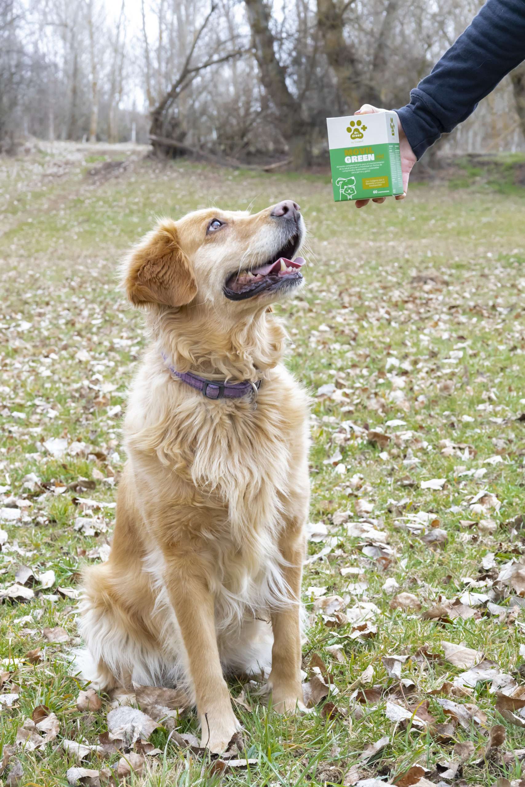 Movilgreen_Plus_Dr._Green_comprimidos_para_el_cuidado_articular_en_perros