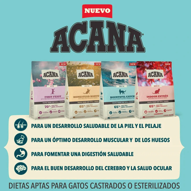 Pienso Acana First Feast para gatitos con pollo arenque avena sin cereales