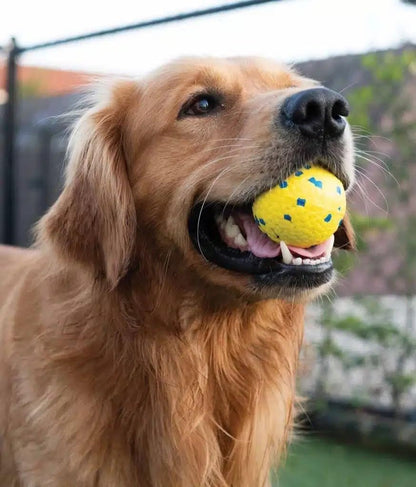 Zeus Nitro | Pelota Ligera y Resistente con núcleo de Goma para Perros