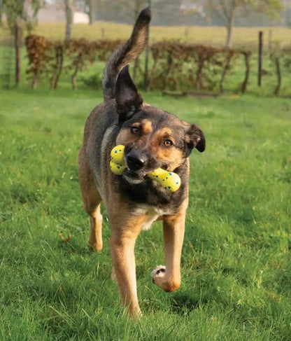 Zeus Nitro | Hueso Ligero y Resistente para Perro, 16 cm