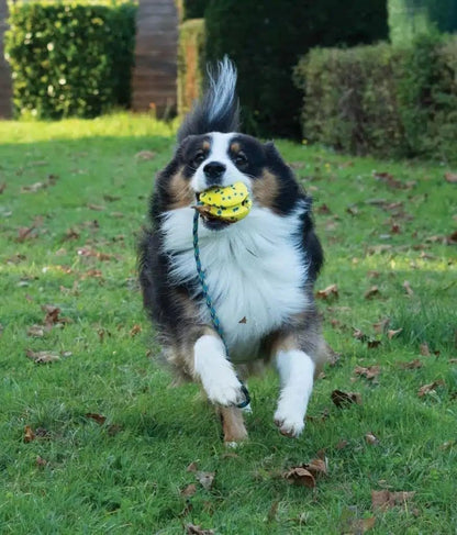 Zeus Nitro | Pelota con Cuerda Ligera y Resistente con núcleo de Goma para Perros 9,2 cm