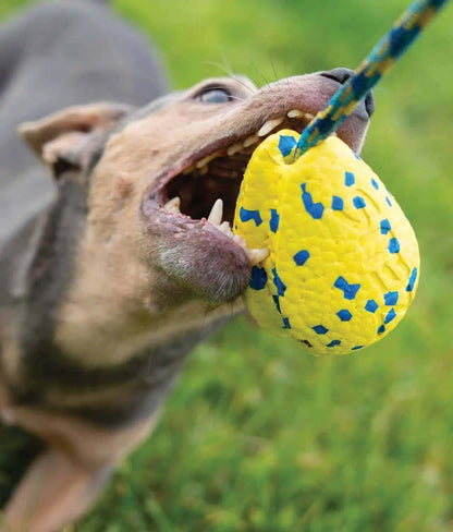 Zeus Nitro | Pelota con Cuerda Ligera y Resistente con núcleo de Goma para Perros 9,2 cm