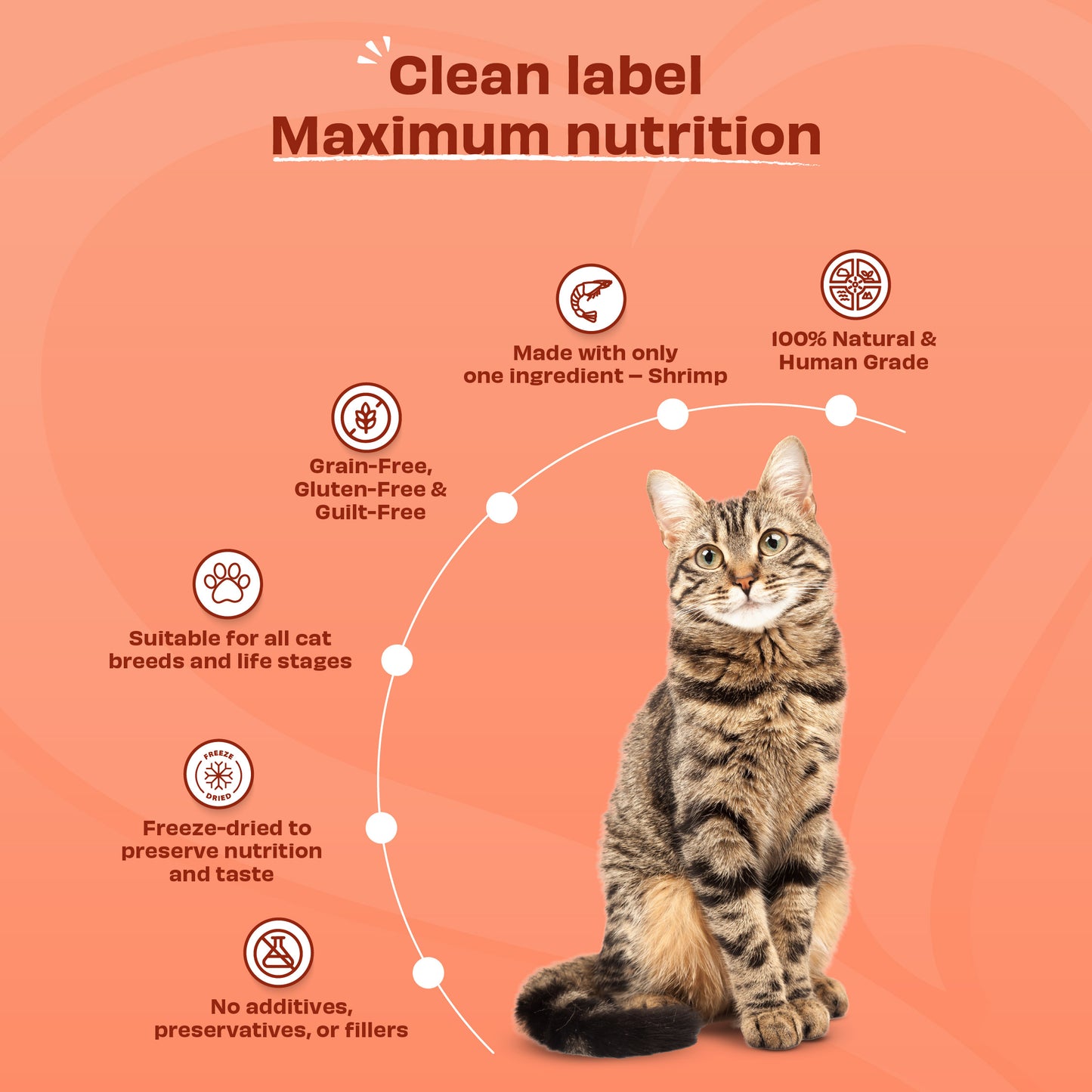 Pawfect | Gambas liofilizadas (50g)