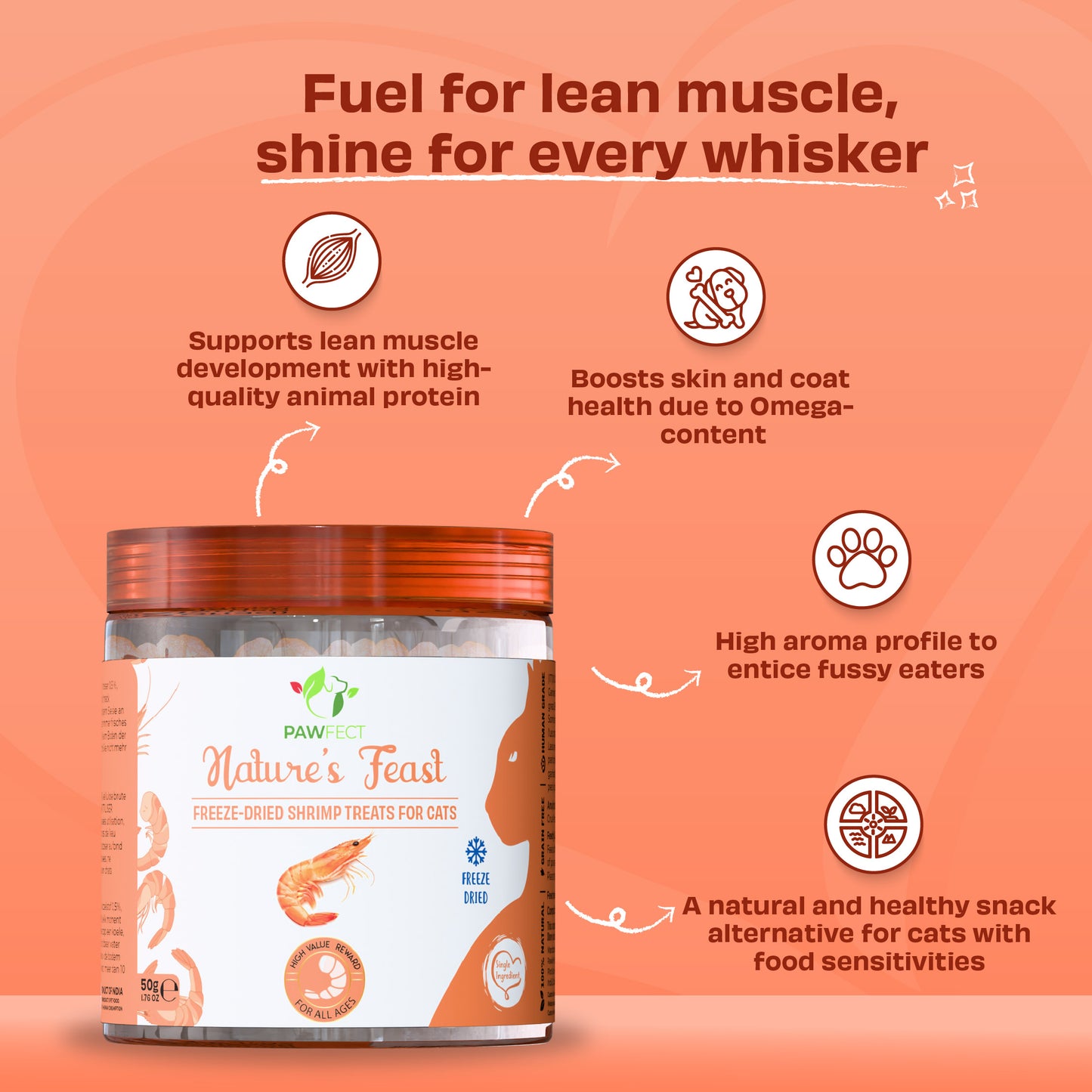 Pawfect | Gambas liofilizadas (50g)