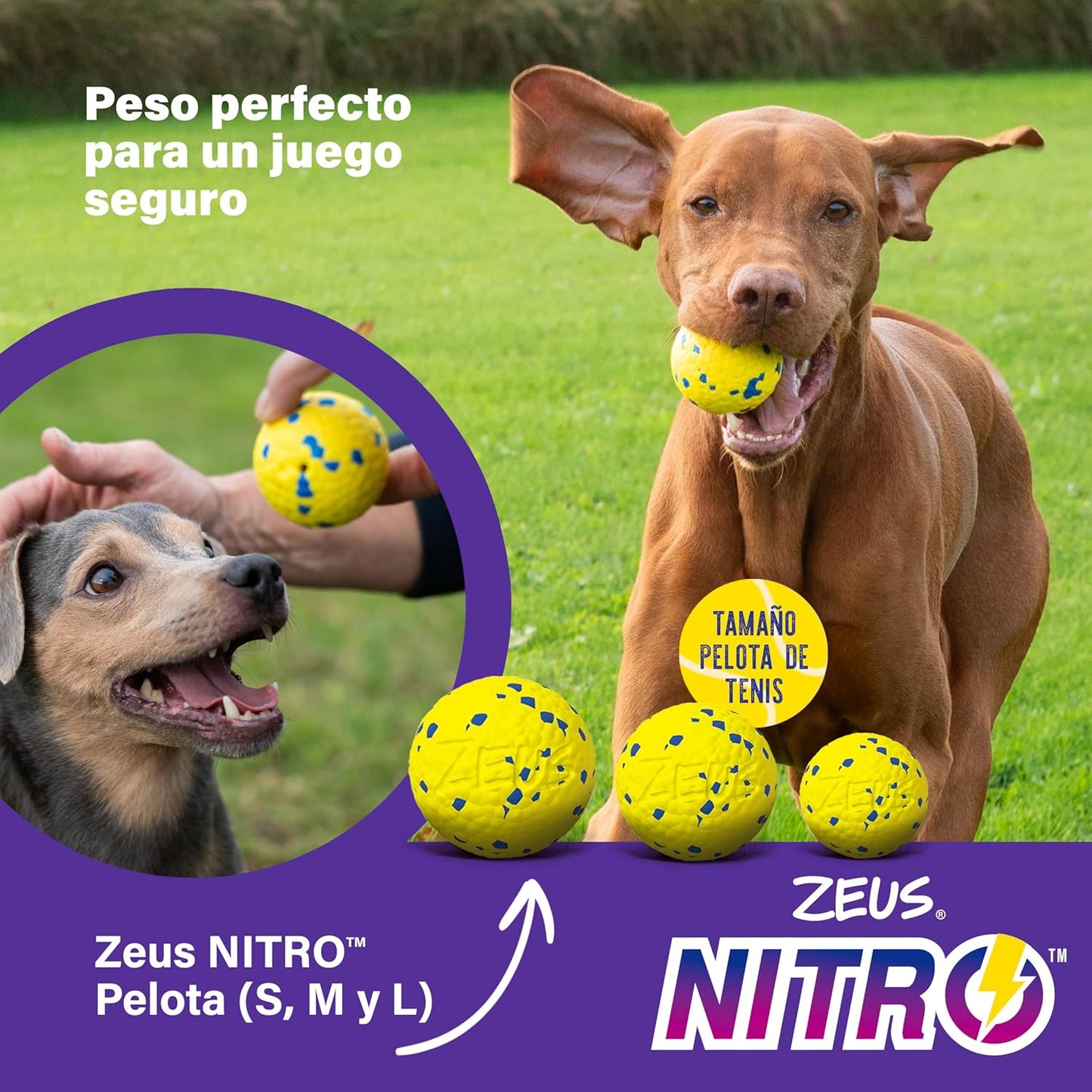 Zeus Nitro | Pelota Ligera y Resistente con núcleo de Goma para Perros