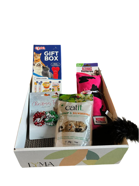 Meow-mas Box: ¡Fiesta felina!