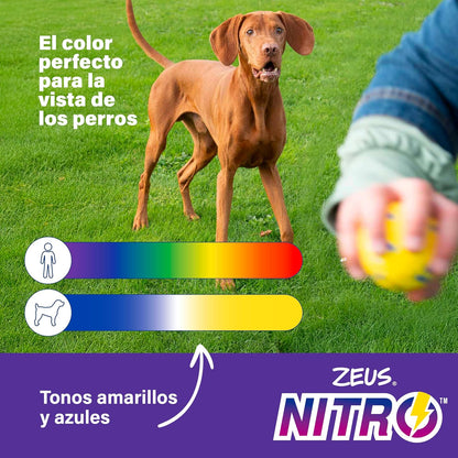 Zeus Nitro |Tugger Ligero y Resistente para Perros, 22 cm