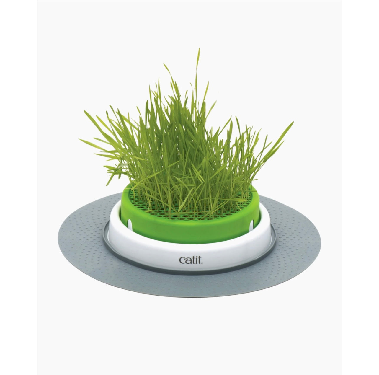 Senses Grass Planter