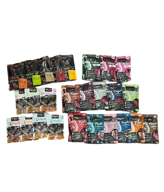 Leonardo | Pack de prueba