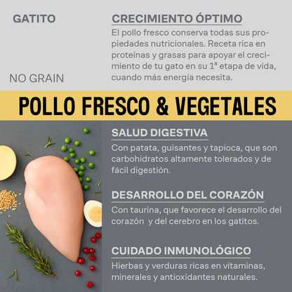 Alimento completo para gatitos sin cereales