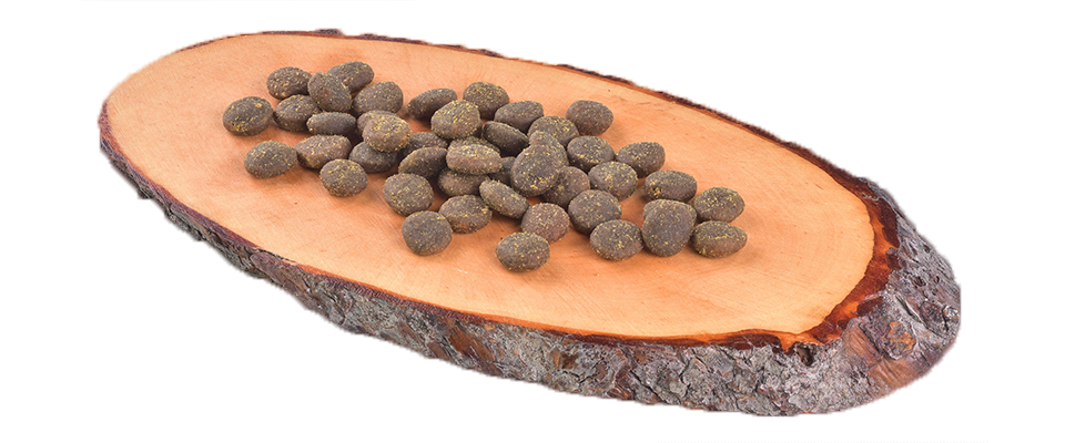 Alimento sin cereales para perros con pescado fresco Carnilove