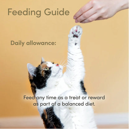 Applaws caballa natural para gatos