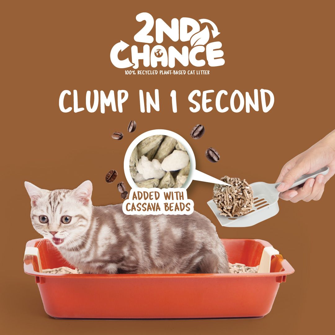 Arena aglomerante vegetal Kit Cat 2nd Chance 2,5 kg