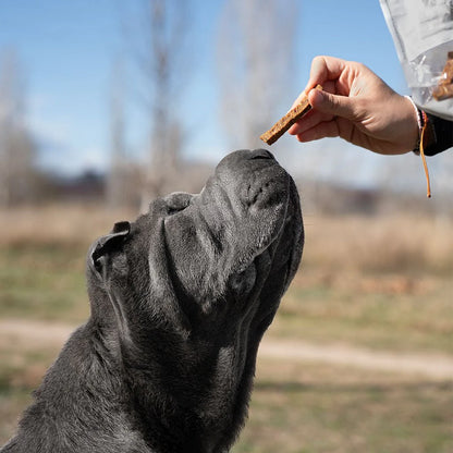 Rub Stick Dental de Pollo para Perros 100g - Small Size 1x1