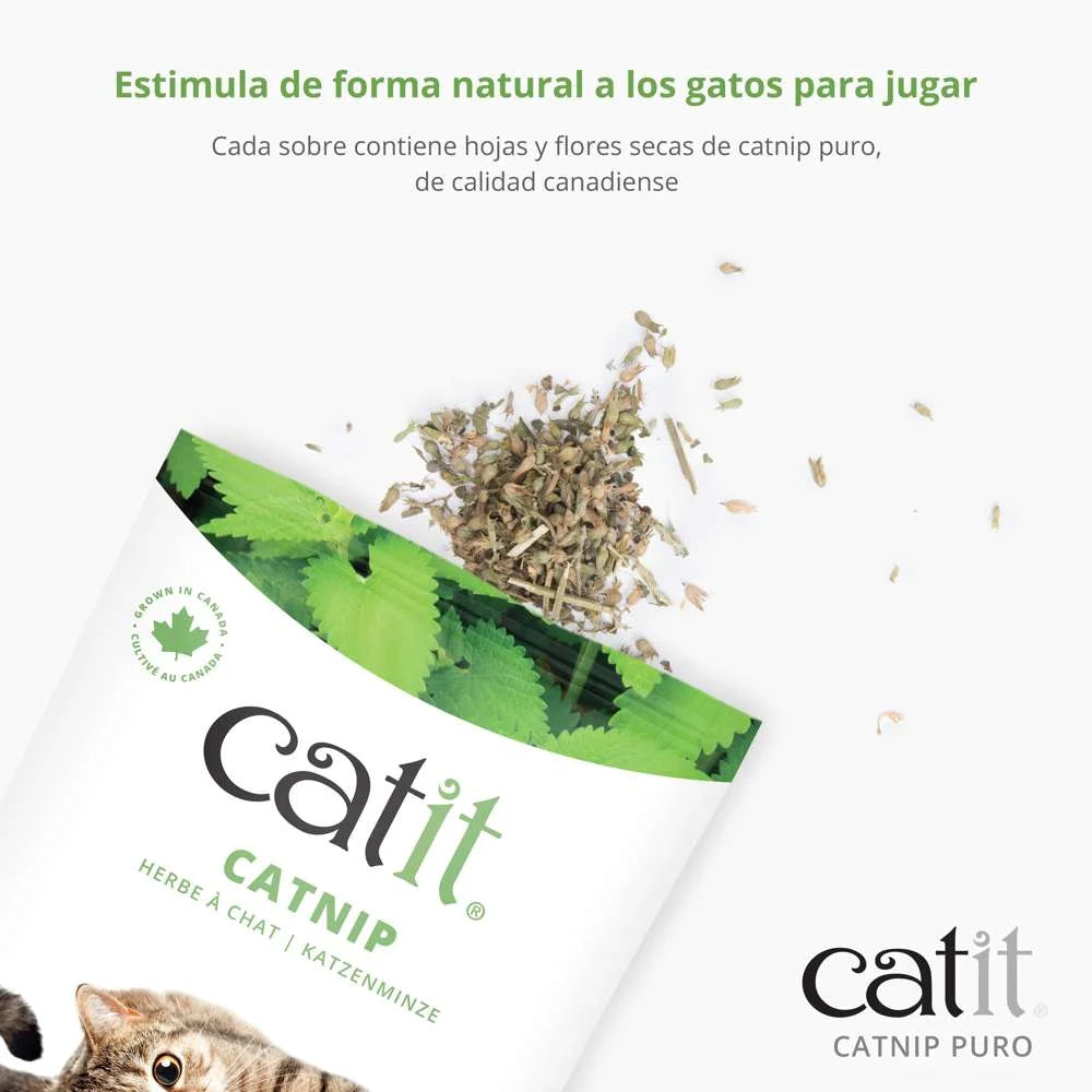 Bolsa de Catit Catnip Puro 28 g.