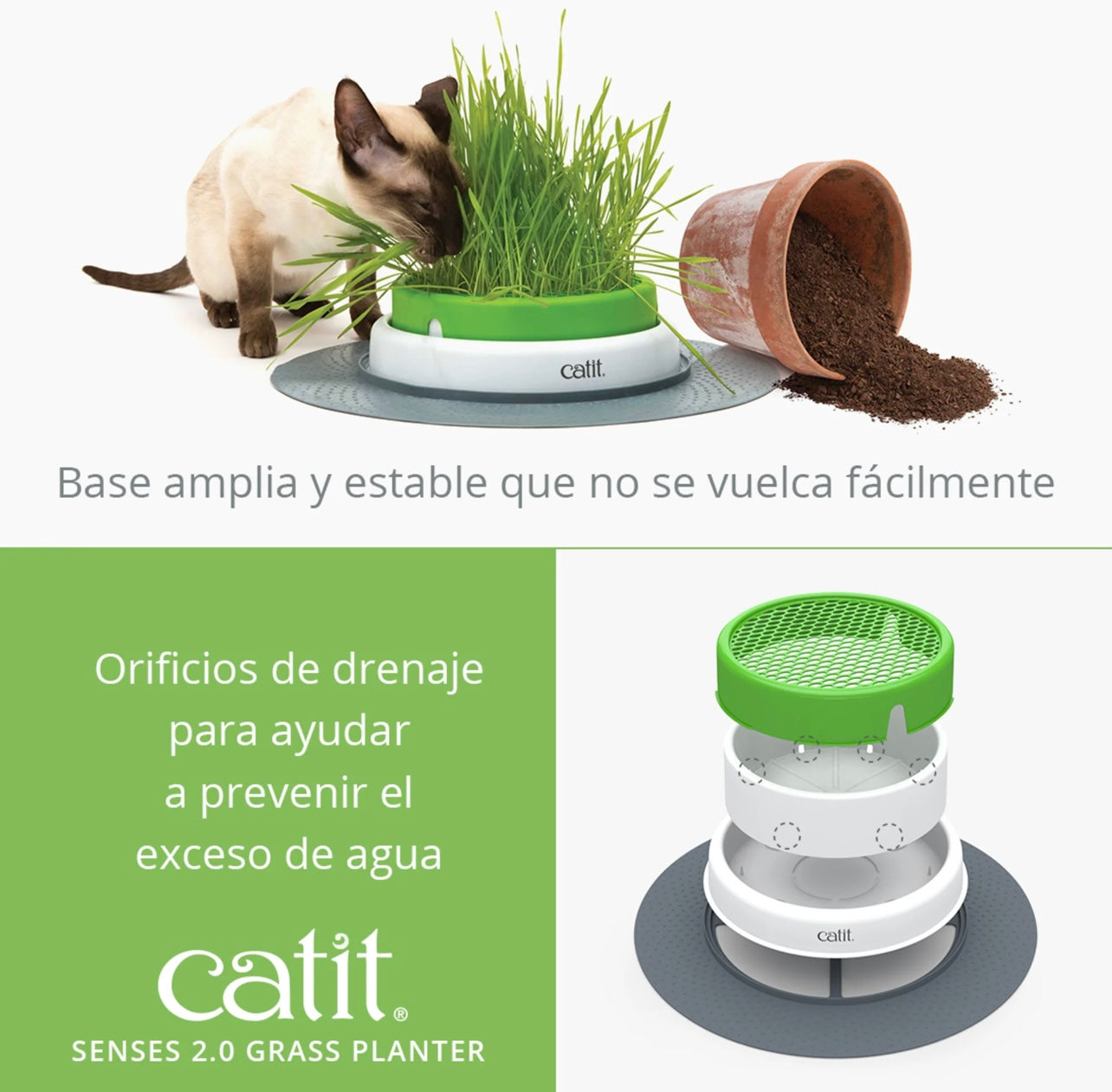 Senses Grass Planter