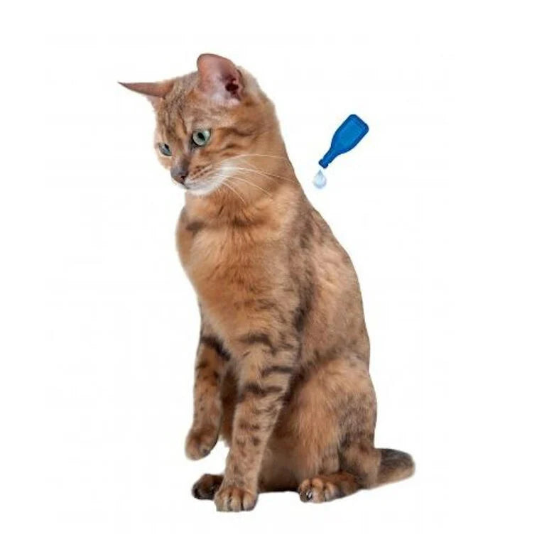 Caja y presentación del producto Beaphar Calming Spot On para gatos