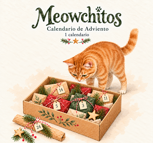Calendario adviento 2026 gato con 24 regalitos