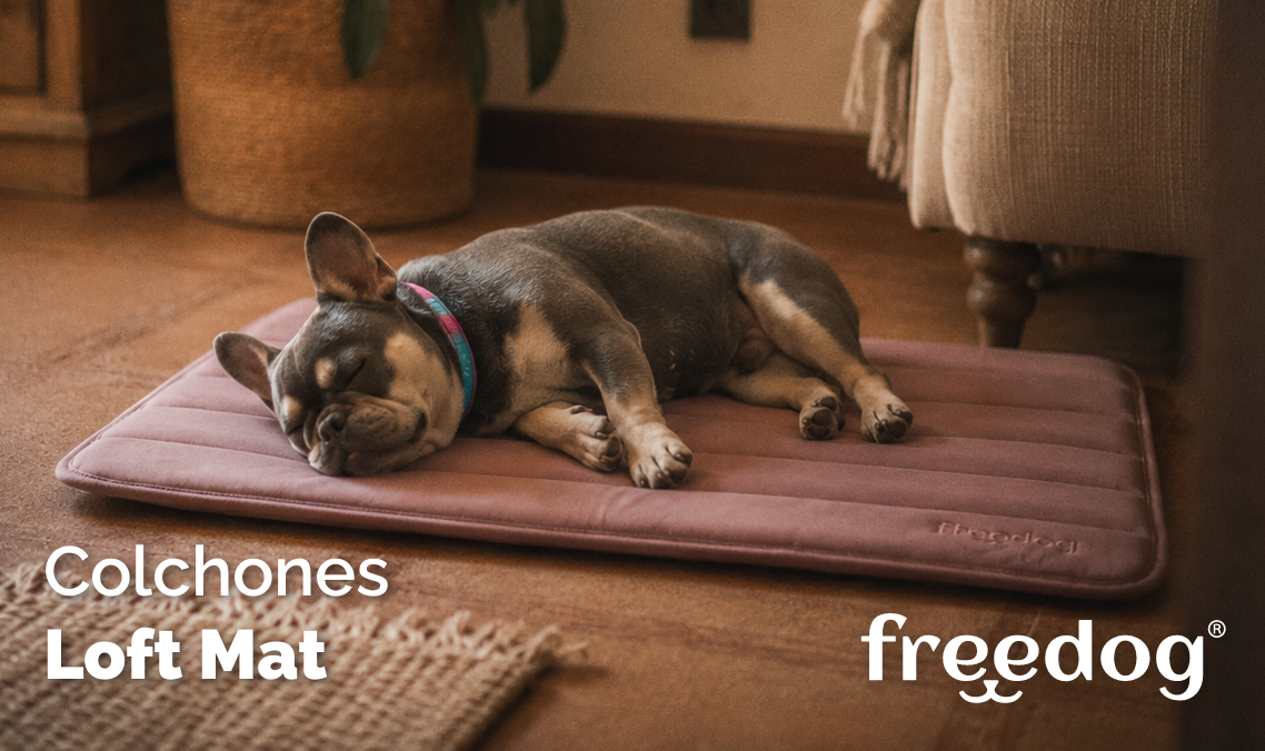Cama colchón para perros Freedog Loft Mat de tejido suave y espuma de alta calidad