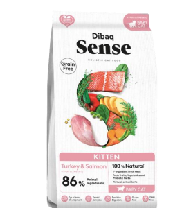 Dibaq | Sense Cat Kitten