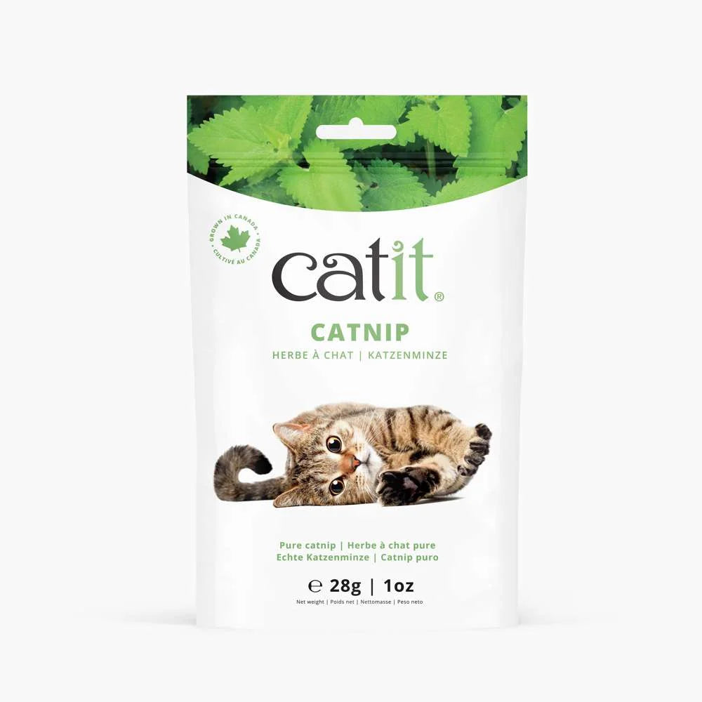 Catnip natural para gatos de calidad canadiense.