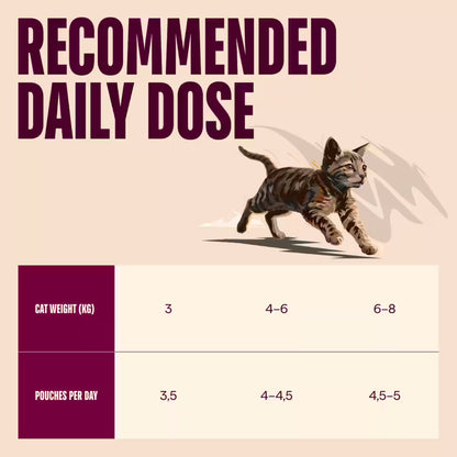 Comida húmeda Carnilove para gatitos con conejo 85 g