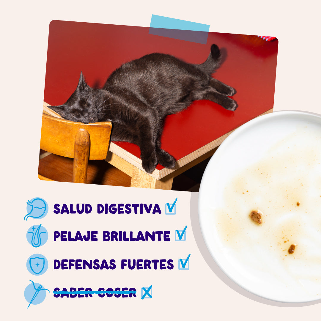 Comida húmeda Edgar & Cooper salmón bacalao atún y trucha