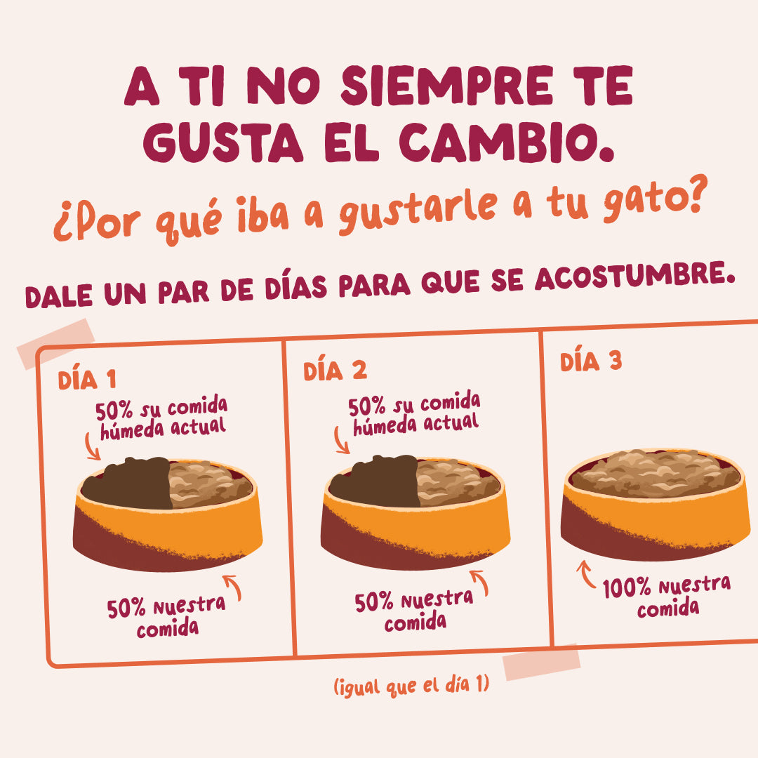 Comida húmeda con pollo de verdad para gatos