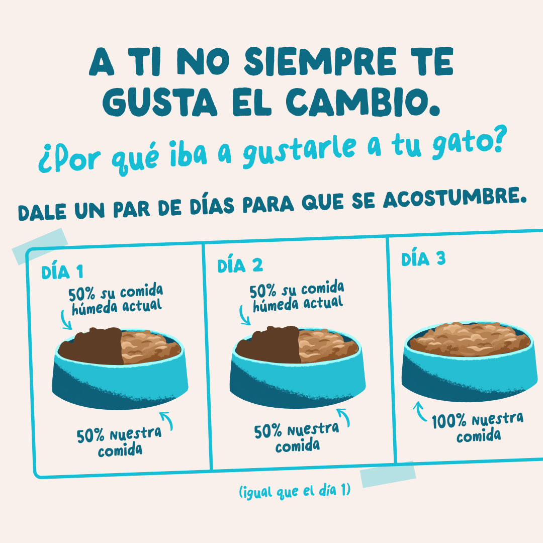 Comida húmeda con pollo y atún de verdad