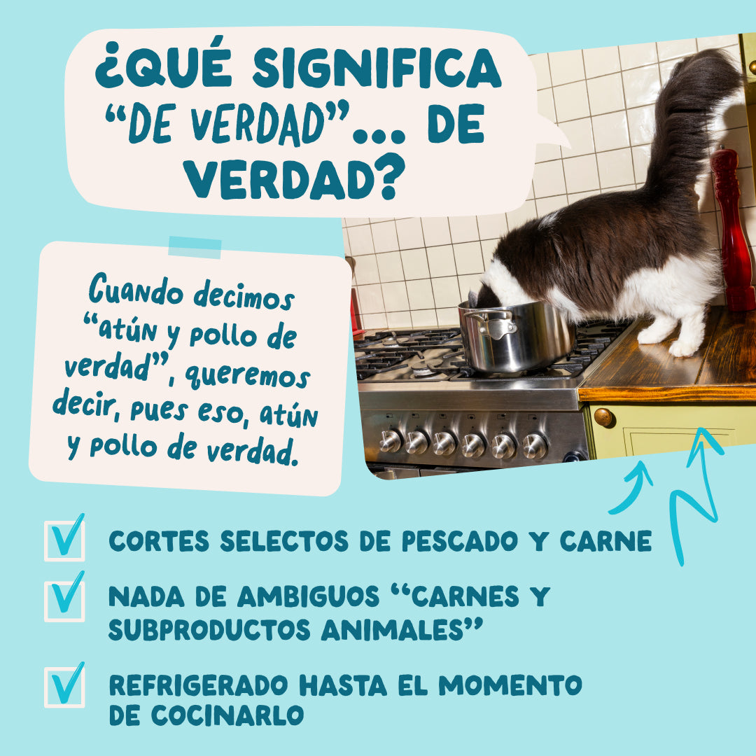 Comida húmeda natural de atún para gatos