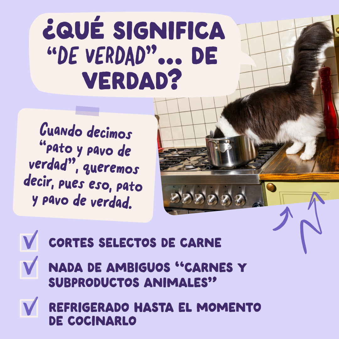 Comida húmeda natural de pato para gatos