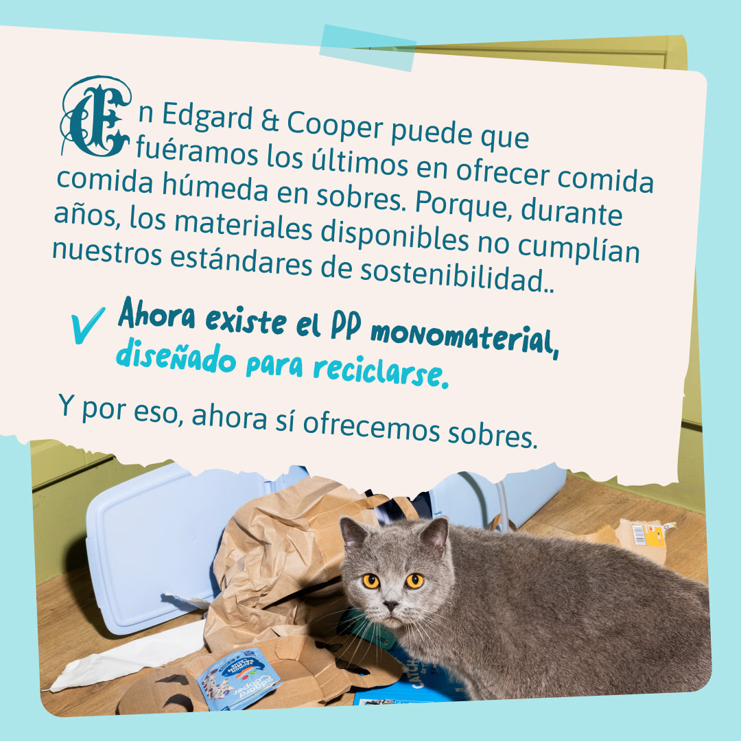Comida húmeda premium con pescado para gatos