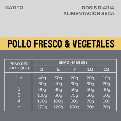 Comida para gatitos rica en proteínas de pollo