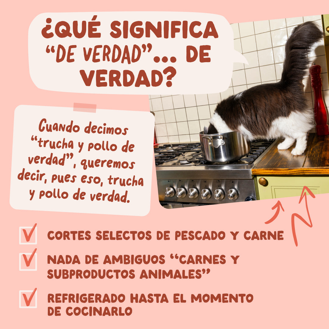 Comida para gatos Edgard & Cooper en salsa
