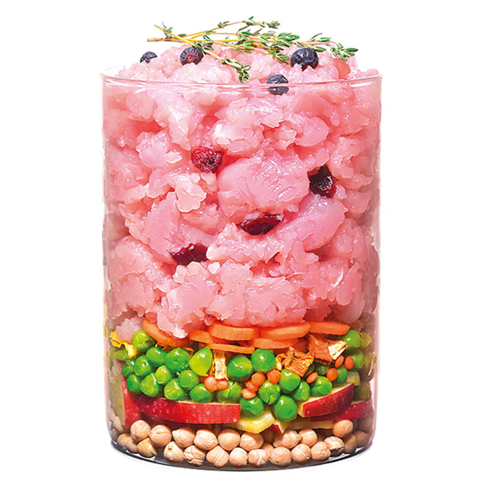 Saco Carnilove True Fresh Turkey con lentejas rojas