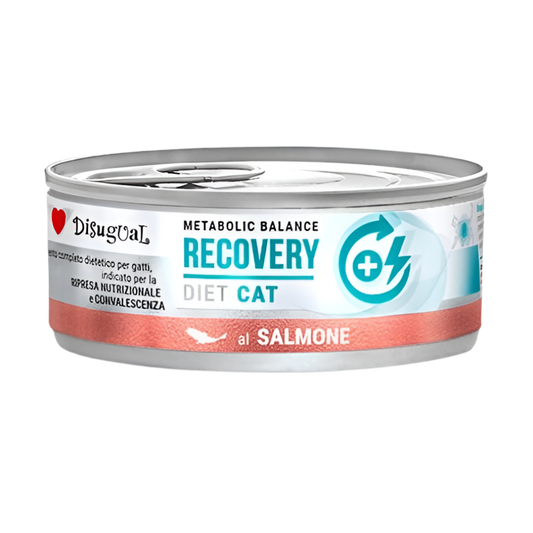 Disugual | Recovery Salmón (12x85g)