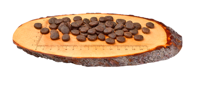 Detalle del pienso Carnilove pollo y conejo para músculos y articulaciones