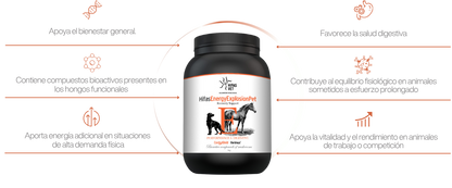 HIFAS Energy Explosion Pet | Complemento energético para perros activos