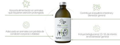 HIFAS Onco Pet | Complemento nutricional para perros y gatos