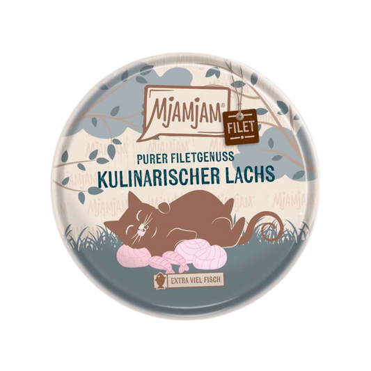 MjaMjaM | Filetes de Salmón (80g)