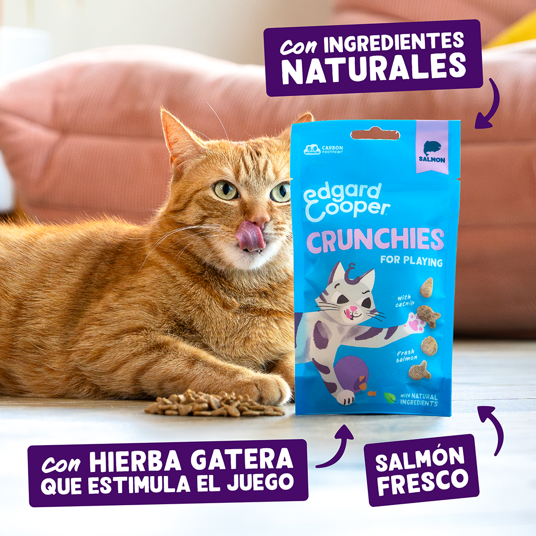 Edgard & Cooper | Galletitas de salmón (50g)