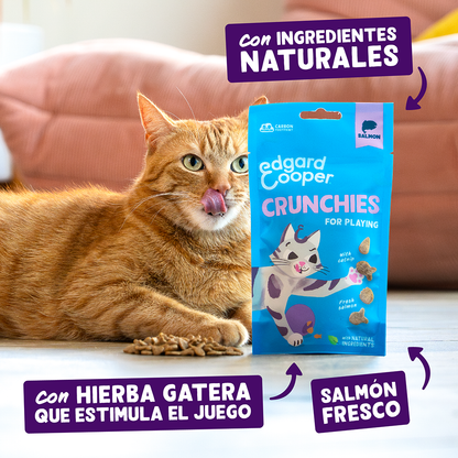 Edgard & Cooper | Galletitas de salmón (50g)
