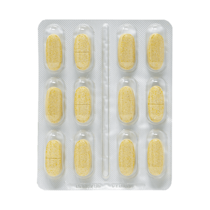 Envase HepatoGreen Dr. Green 48 comprimidos apoyo hepático natural para perros y gatos