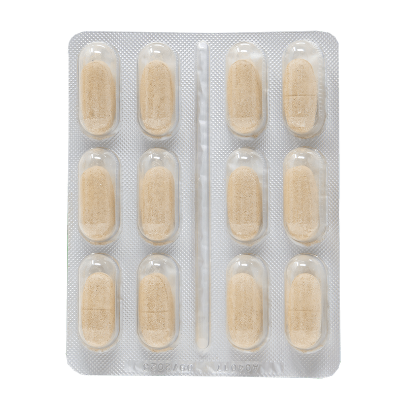 Envase RenalGreen Dr. Green con comprimidos apoyo función renal mascotas