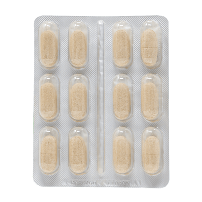 Envase RenalGreen Dr. Green con comprimidos apoyo función renal mascotas