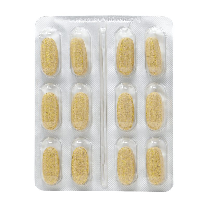 Envase de UroGreen comprimidos para tracto urinario canino