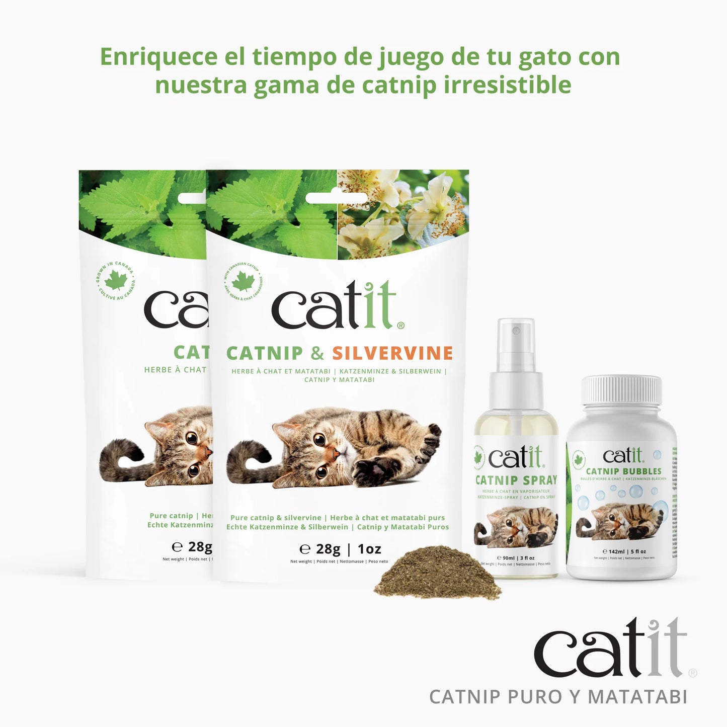 Estimulante natural para gatos con hierbas catnip matatabi